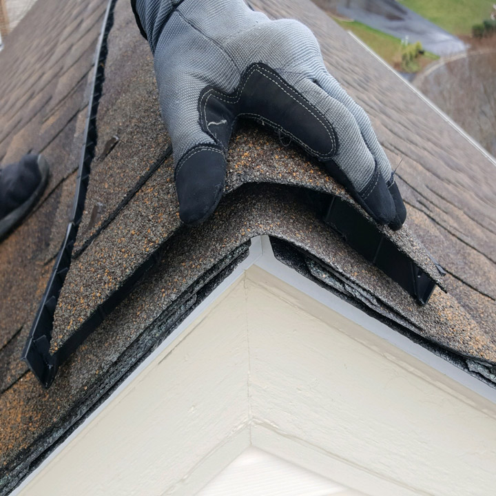 Wildlife Control Services Wildlife Control Services